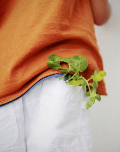 MATERIALS: ORGANIC COTTON